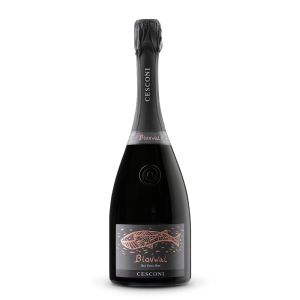 Blauwal Rosé Trento DOC Rosé Extra Brut - Linea Metodo Classico - Cesconi