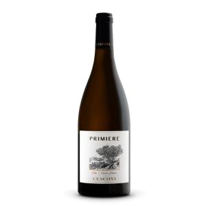 Primiere Trentino DOC Pinot Grigio Riserva - Linea Cru - Cesconi